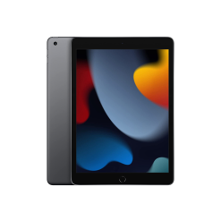 iPad 9th Gen 256GB Space Grey