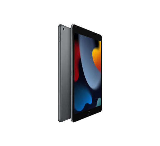 iPad 9th Gen 256GB Space Grey - Image 2