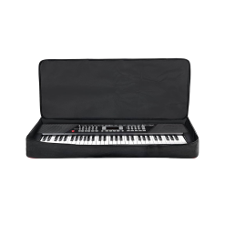 Luckystar PA Keyboard Bag 76K