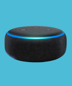 Smart Speaker