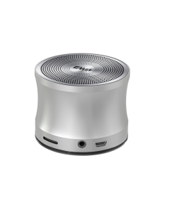 Ewa Bluetooth Speaker  A109