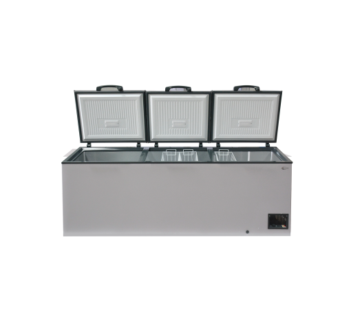 Silverdome Chest Freezer CFM 860