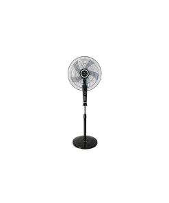 Dolphin Fan Me16501
