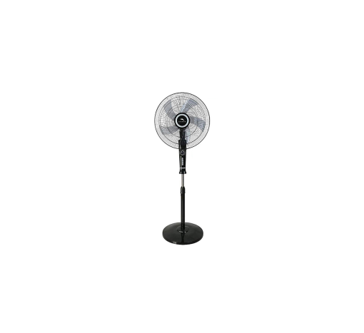 Dolphin Fan Me16501
