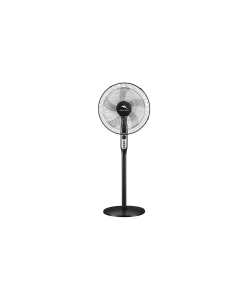 Dolphin Fan 16077