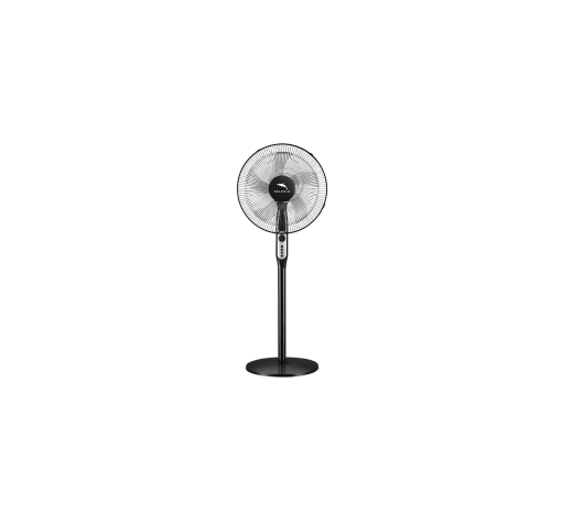 Dolphin Fan 16077
