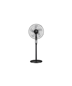 Dolphin Fan 16077