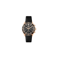 Hugo Boss Watch 1502753