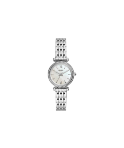 Fossil Wrist Watch ES4647