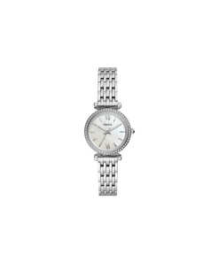 Fossil Wrist Watch ES4647